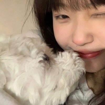 单机的打鱼游戏下载手机版